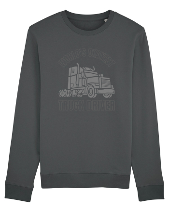Pentru Șoferii de Camion Anthracite