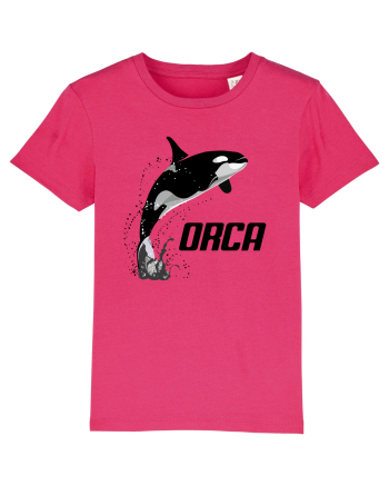 ORCA Raspberry