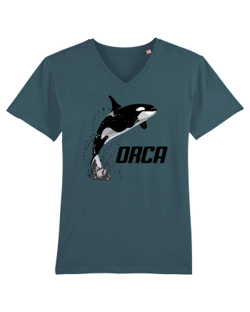 ORCA Stargazer