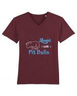 PIT BULL  Tricou mânecă scurtă guler V Bărbat Presenter