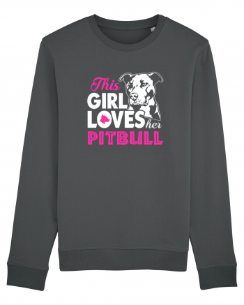 PIT BULL  Anthracite