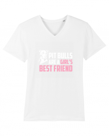 PIT BULL  White