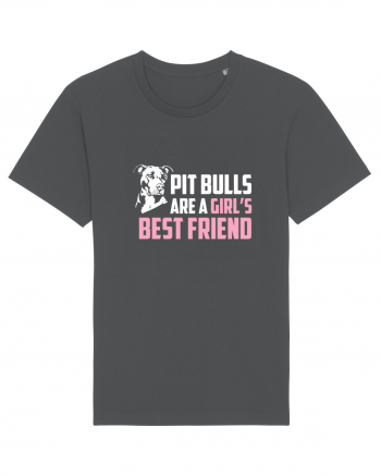 PIT BULL  Anthracite