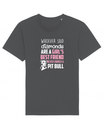 PIT BULL  Anthracite