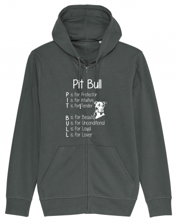 PIT BULL  Anthracite