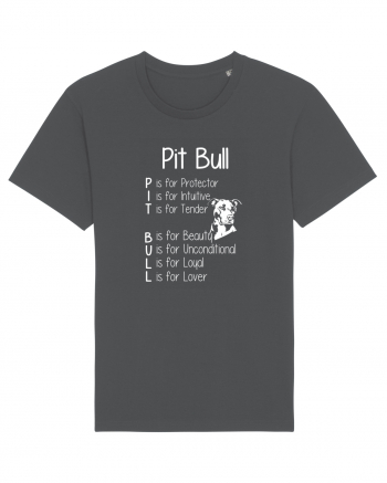 PIT BULL  Anthracite