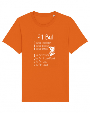 PIT BULL  Bright Orange