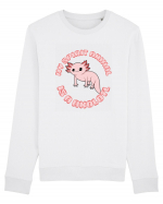 Kawaii Axolotl Bluză mânecă lungă Unisex Rise