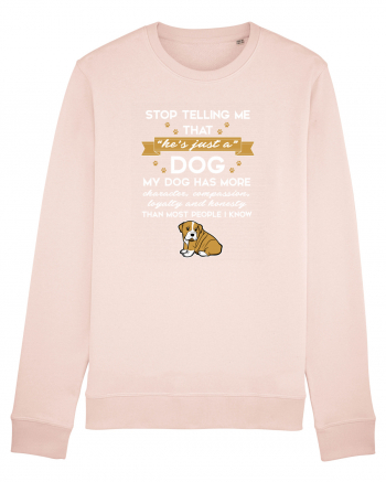 DOG Candy Pink