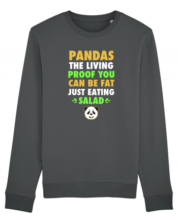 PANDA Anthracite