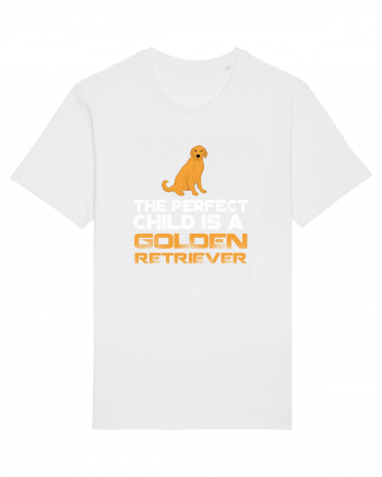 GOLDEN RETRIEVER White