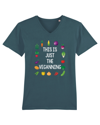 VEGAN Stargazer