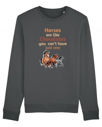 HORSE Anthracite