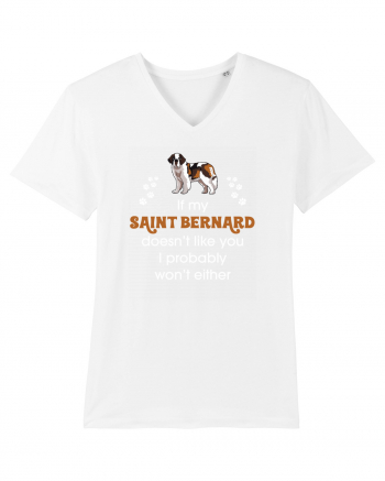 SAINT BERNARD White