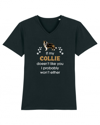 COLLIE Black