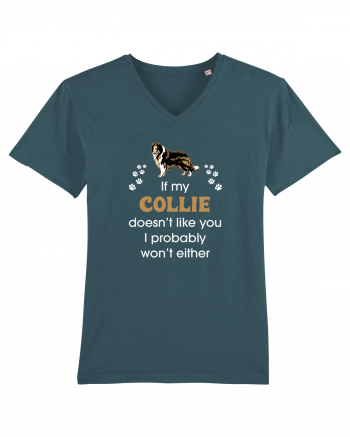 COLLIE Stargazer