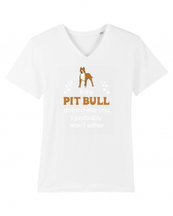 PIT BULL  White