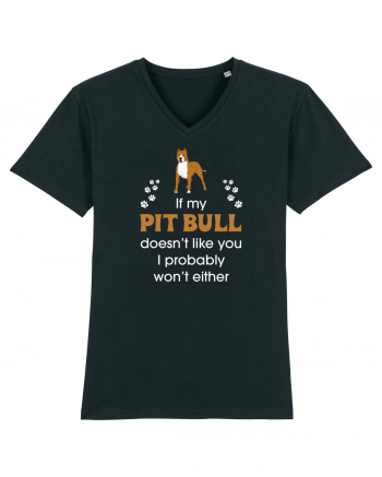 PIT BULL  Black