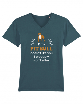 PIT BULL  Stargazer