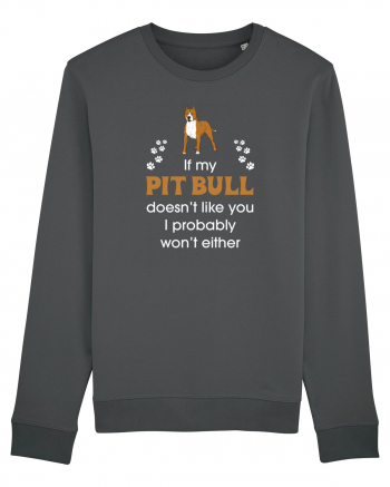 PIT BULL  Anthracite