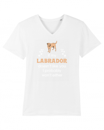 LABRADOR White