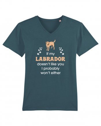 LABRADOR Stargazer