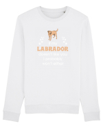 LABRADOR Bluză mânecă lungă Unisex Rise