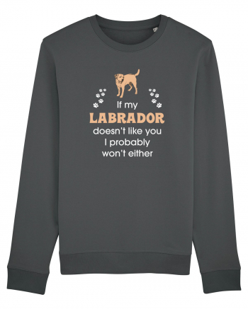 LABRADOR Anthracite