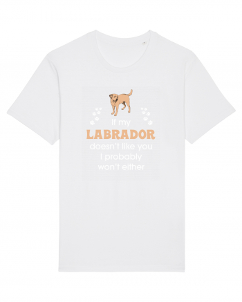 LABRADOR White