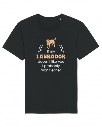 LABRADOR Black