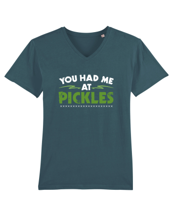PICKLES Stargazer