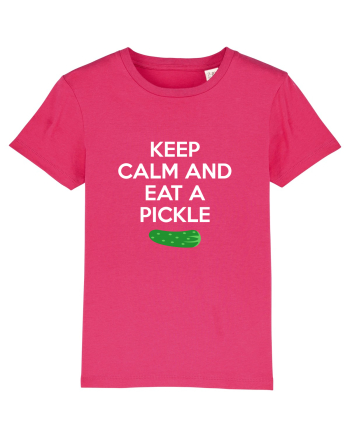 PICKLE Raspberry