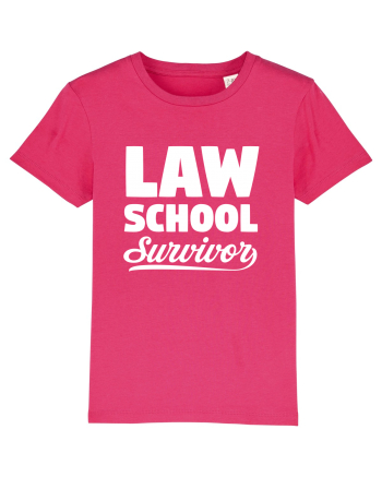 LAW Raspberry