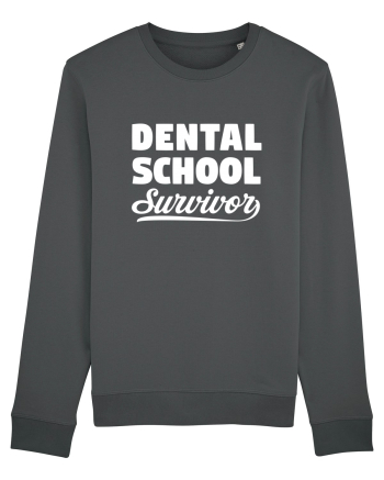 DENTAL SCHOOL Anthracite