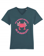 Kawaii Axolotl Tricou mânecă scurtă guler V Bărbat Presenter