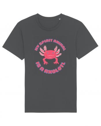 Kawaii Axolotl Anthracite