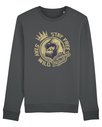The Monkey Action Anthracite