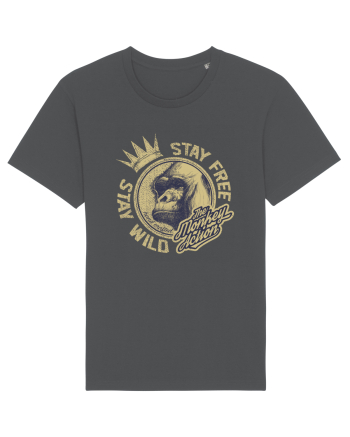 The Monkey Action Anthracite