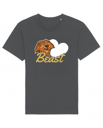 Pentru cupluri - Beast - BeastBeauty1 Anthracite