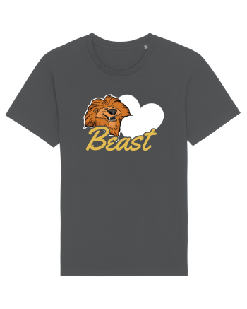Pentru cupluri - Beast - BeastBeauty1 Anthracite