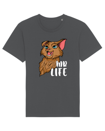 Pentru cupluri - Mr Life - GoodLife1 Anthracite