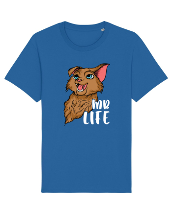 Pentru cupluri - Mr Life - GoodLife1 Royal Blue