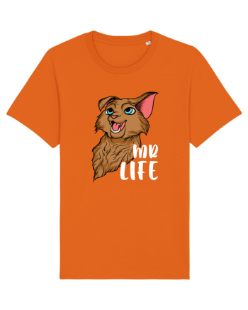 Pentru cupluri - Mr Life - GoodLife1 Bright Orange