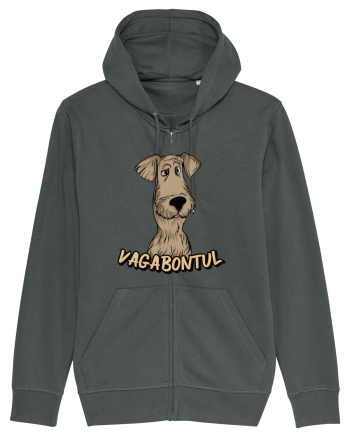 Pentru cupluri - Vagabontul - Doamna si Vagabontul 2 Anthracite