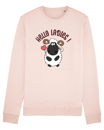 Îmi caut perechea - Hello ladies Candy Pink