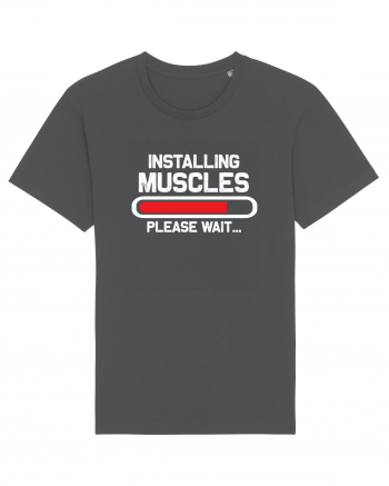 Installing Muscles Please Wait Anthracite