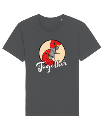 Pentru cupluri - Together - TogetherForever1 Anthracite