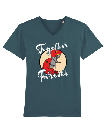 De ziua îndrăgostiților - Together forever Stargazer