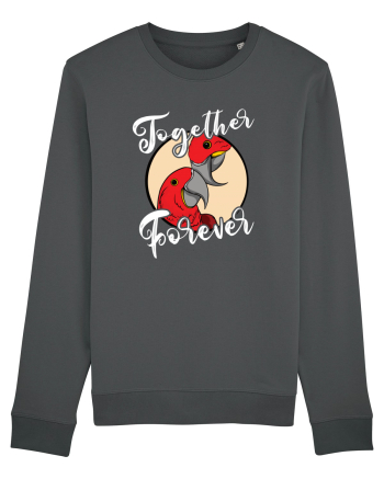 De ziua îndrăgostiților - Together forever Anthracite