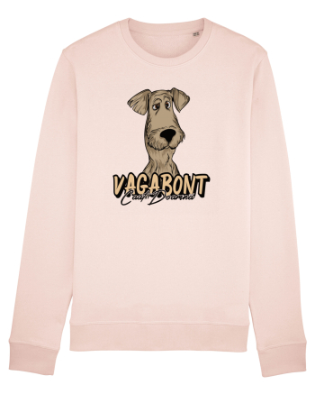 Îmi caut perechea - Vagabont caut doamnă Candy Pink